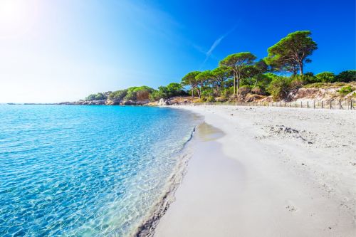 The beach of Palombaggia in Corsica with its limpid waters