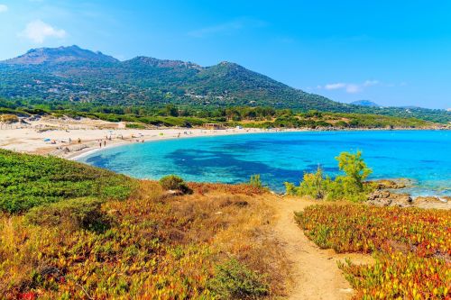 The beach of Saleccia and the dsert des Agriates in Corsica