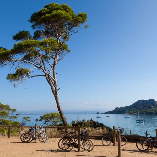 Bike rental to discover the island of Porquerolles in the south of France