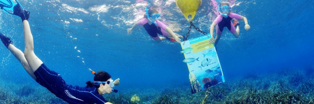 A woman and two girls looking at an information board on a snorkeling trail in Port-Cros on the French Riviera