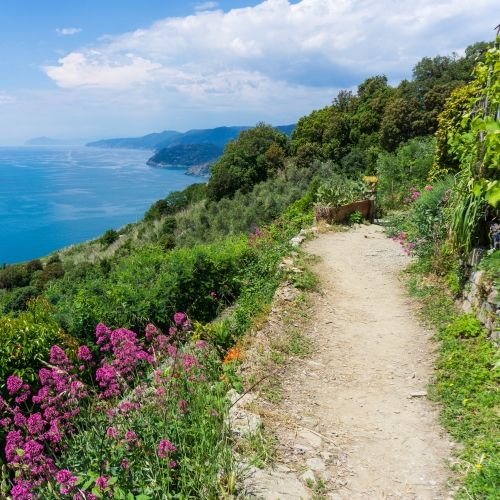 A hiking trail in the Cinque Terre