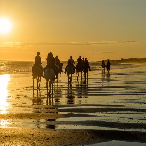 Riders on the beach on a horseback tour at sunset