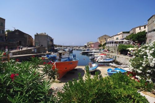 The charming village of Centuri built around a small port 
