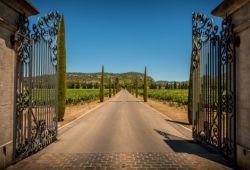 A forged iron gate at the entrance of a wine estate in Provence